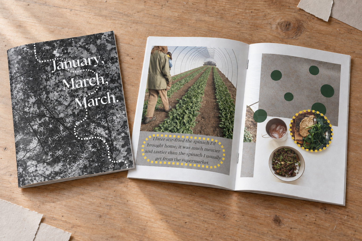 《January, March, March》
