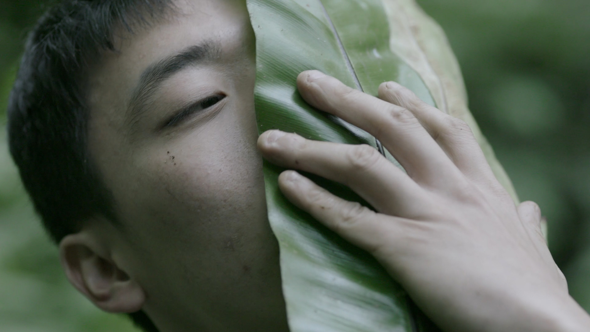 A performer holding a leaf close to his face