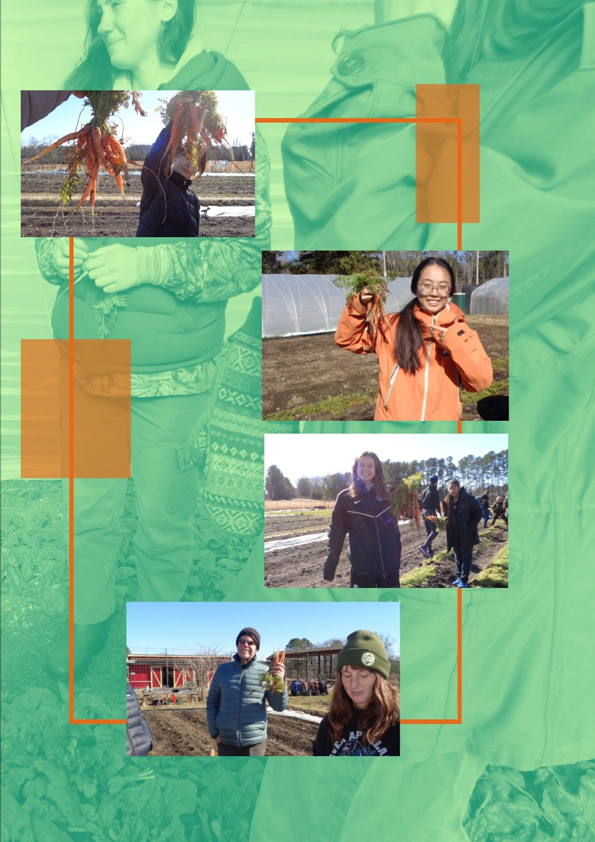 January, March, March,第 11 页