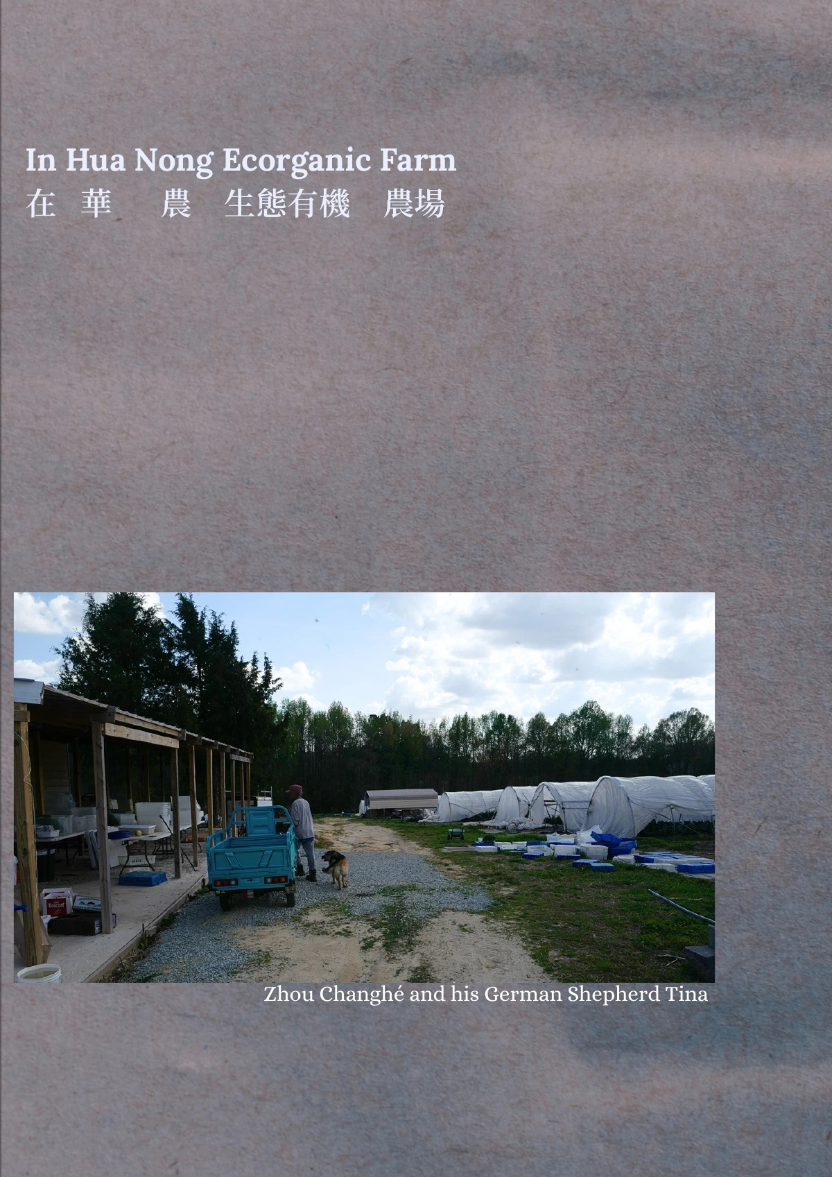 January, March, March,第 35 页