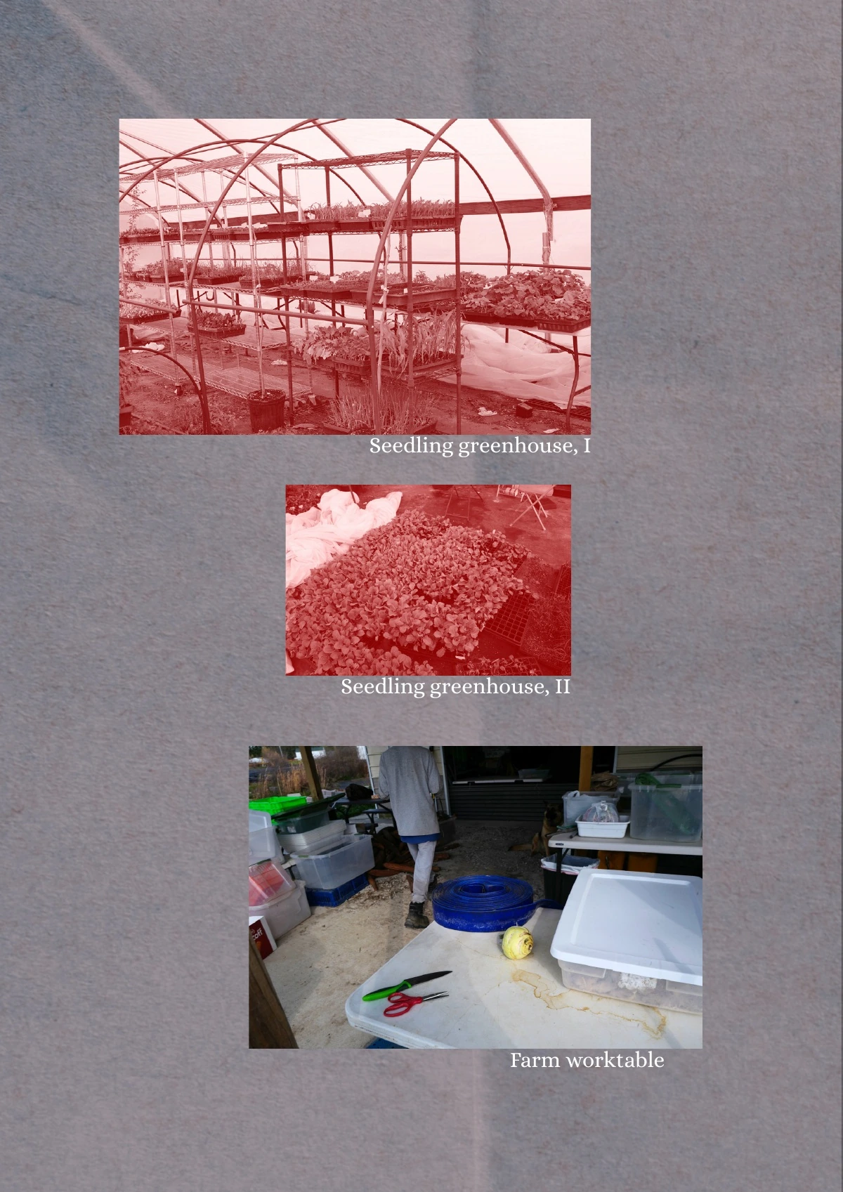 January, March, March,第 38 页